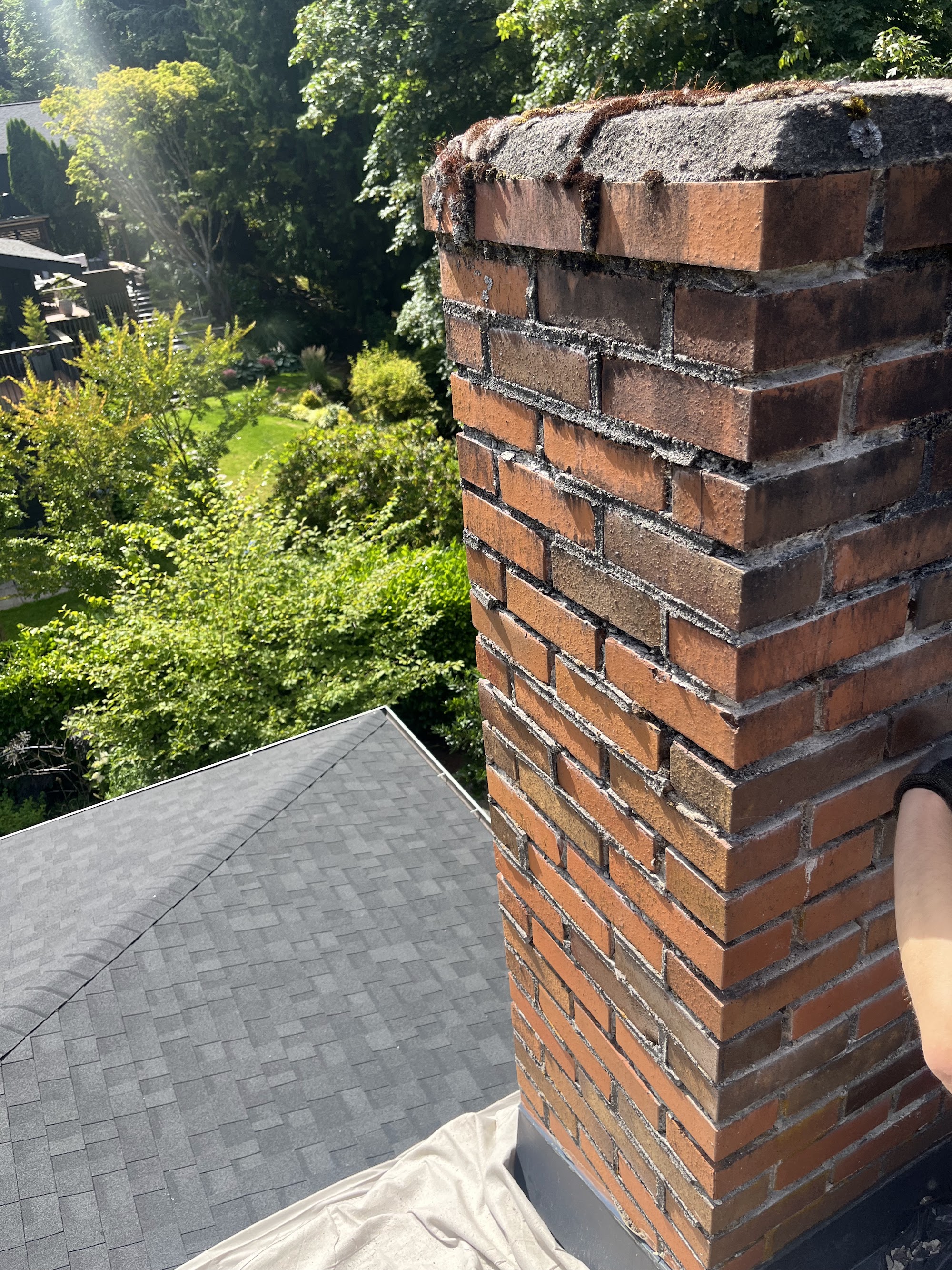 Cracked Crown & Moss Damage in
